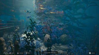 Star Wars Jedi Survivor Fish Guide, Filling the Aquarium