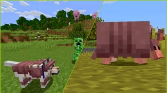 The Armadillo and Wolf Armor in Minecraft