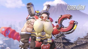 Torb cover