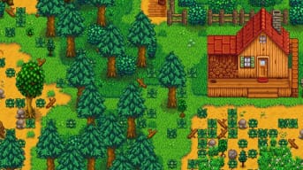 stardew-valley-1-1-update-forest-farm