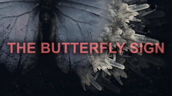 The Butterfly Sign Logo