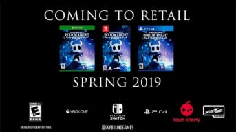hollow knight for console