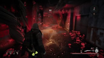 Remnant: From the Ashes screenshot showing a character walking down a red and fleshy-looking corridor 