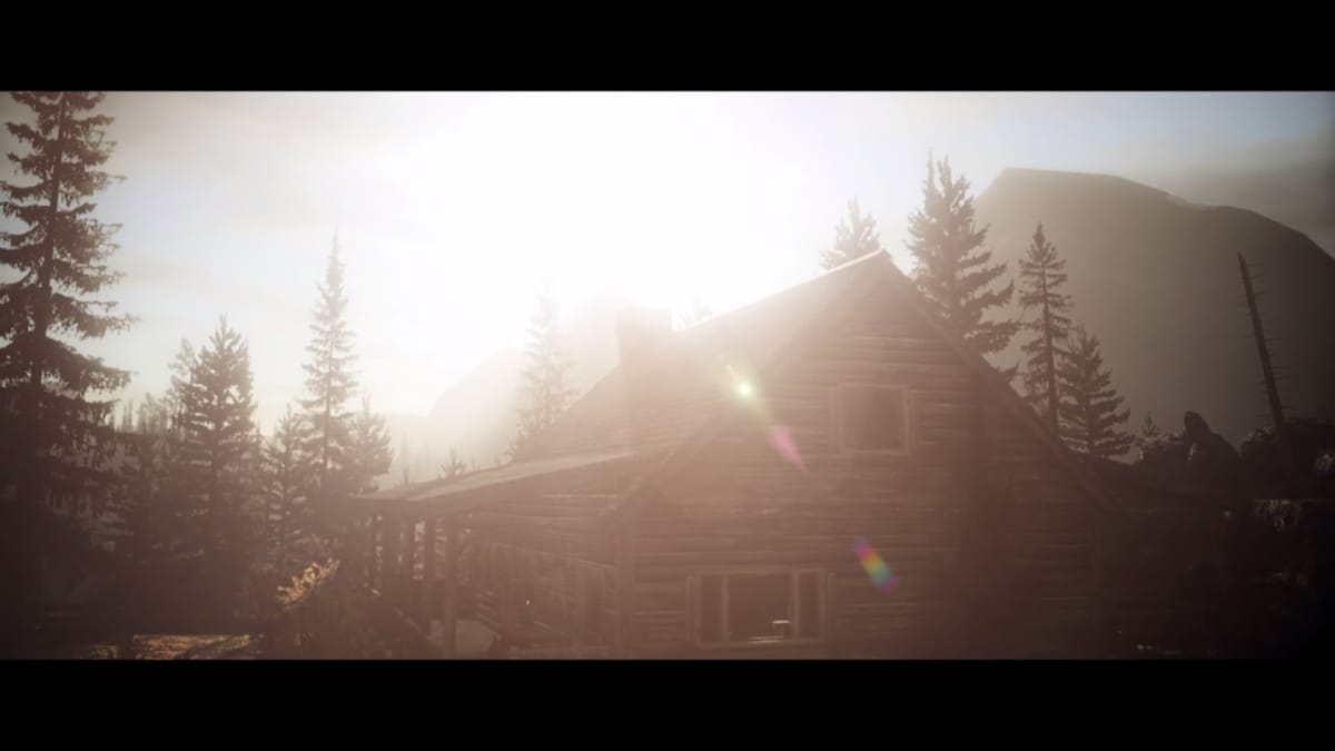 A cabin in the woods with the sun setting in the distance.