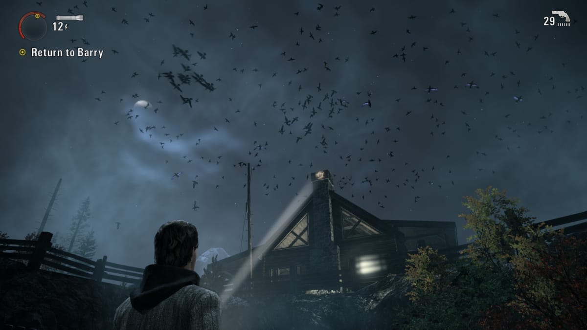 Alan looking at a swarm of birds surrounding a cabin