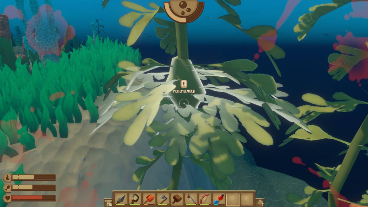 Best Way to Get Seaweed in Raft