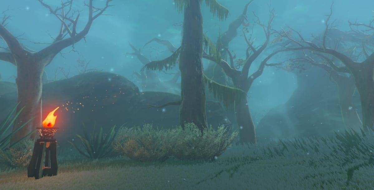 The Lost Woods in Breath of the Wild