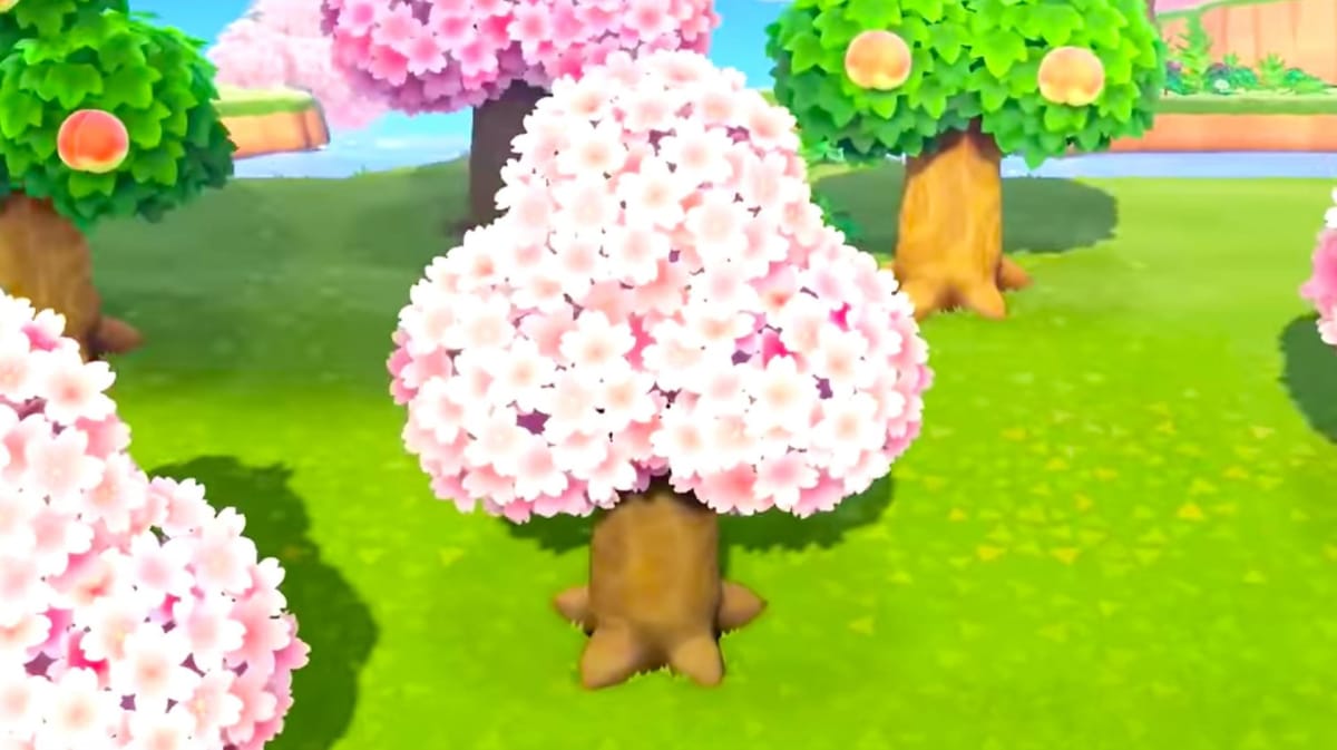 Cherry Blossom Animal Crossing New Horizons