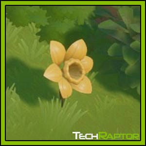 Coral Island Foraging Skill Guide - Daffodil