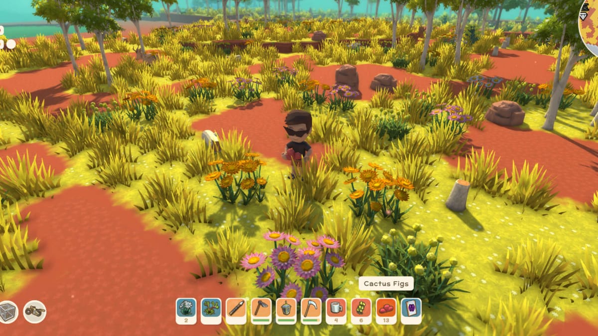 A Dinkum character exploring and seeing spring wildflowers in the upcoming Bloomin' Spring update.