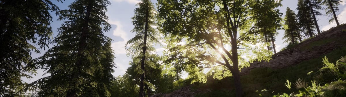 Do Medieval Dynasty Trees Grow Back Guide - God Rays