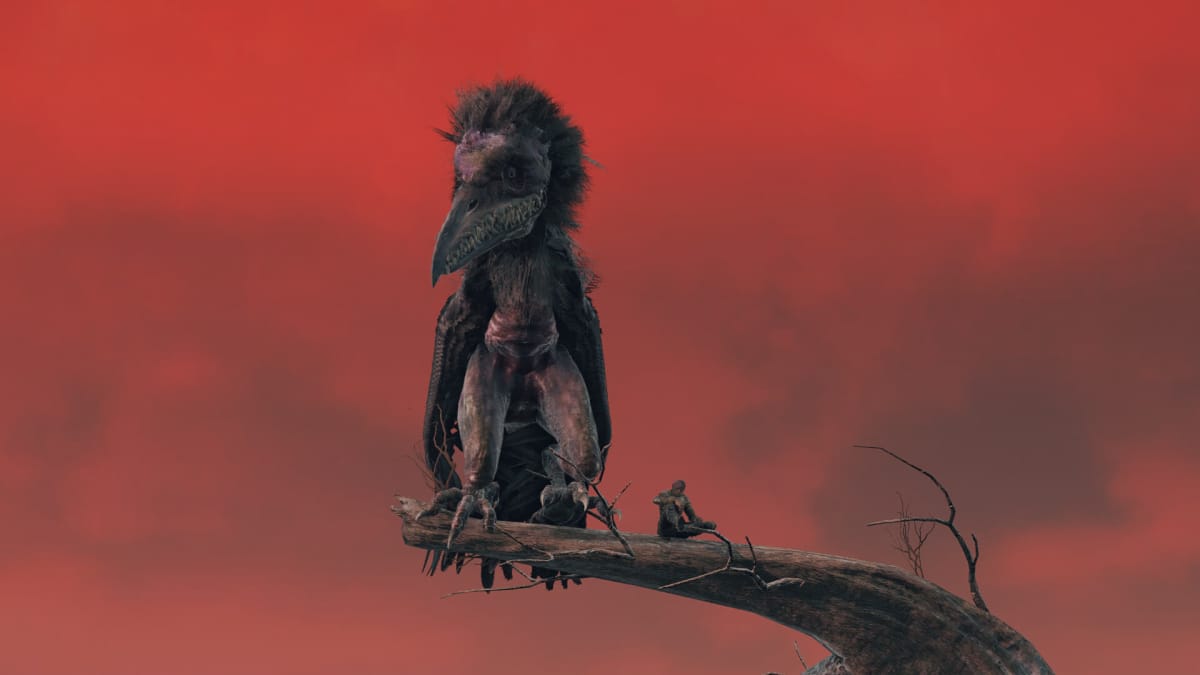 The player sitting on a branch alongside a crow enemy in Elden Ring