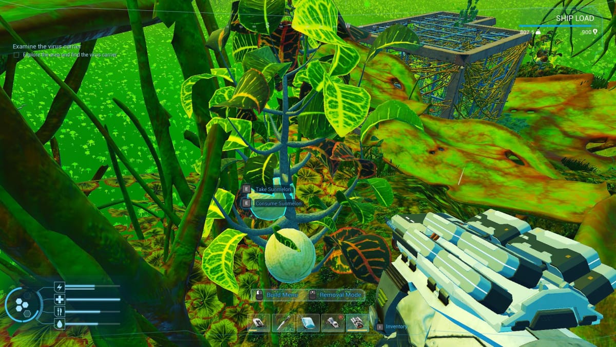 Forever Skies screenshot showing several melon-like green spheres growing on plants that are sitting on top of flat green leaves. 