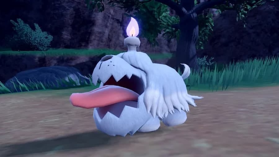 Greavard, the new Ghost Pokemon, sticking their tongue out with their shaggy coat hanging in front of their eyes