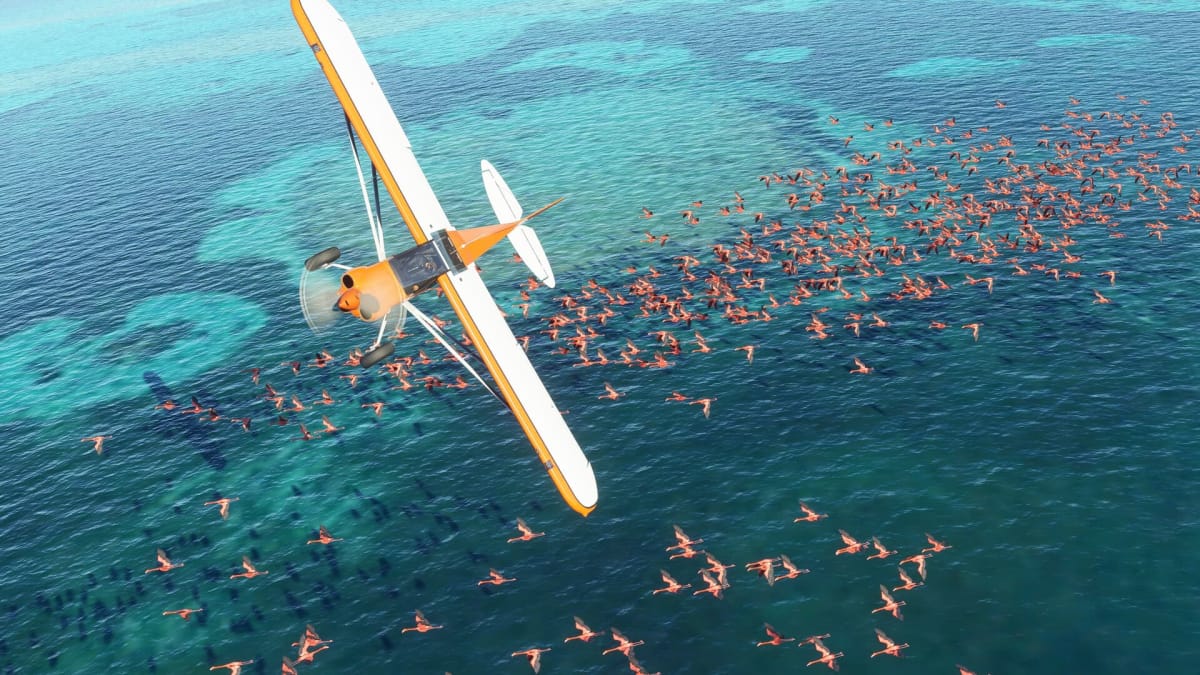 Microsoft Flight Simulator, plane flying among the birds over open blue water 
