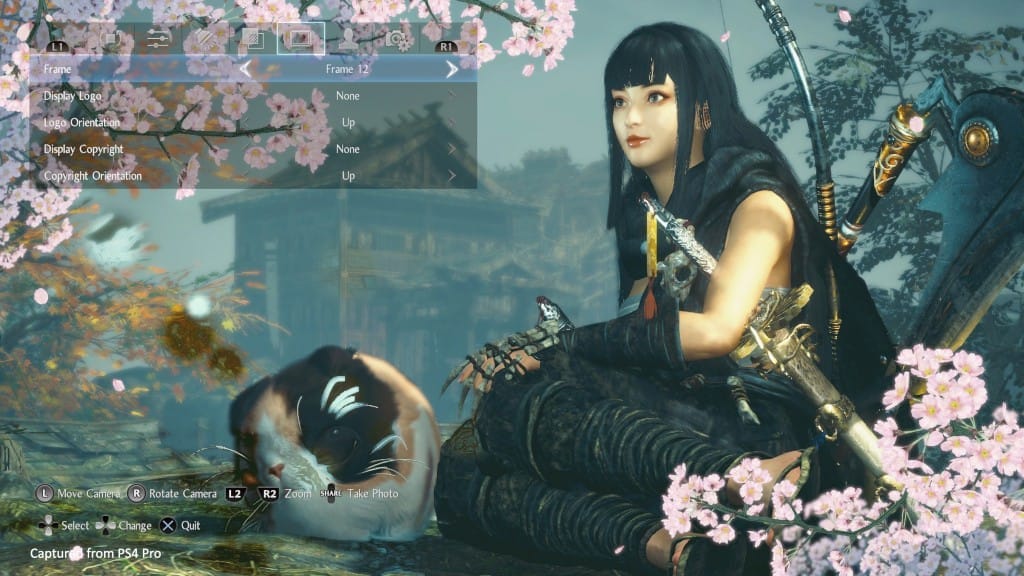 A glimpse of the new photo mode in Nioh 2