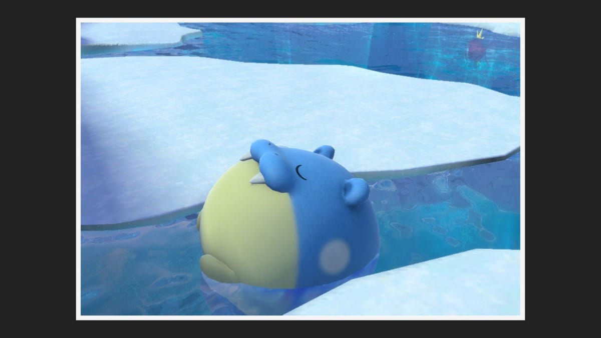 New Pokemon Snap Shivering Snowfields Star Photos Spheal