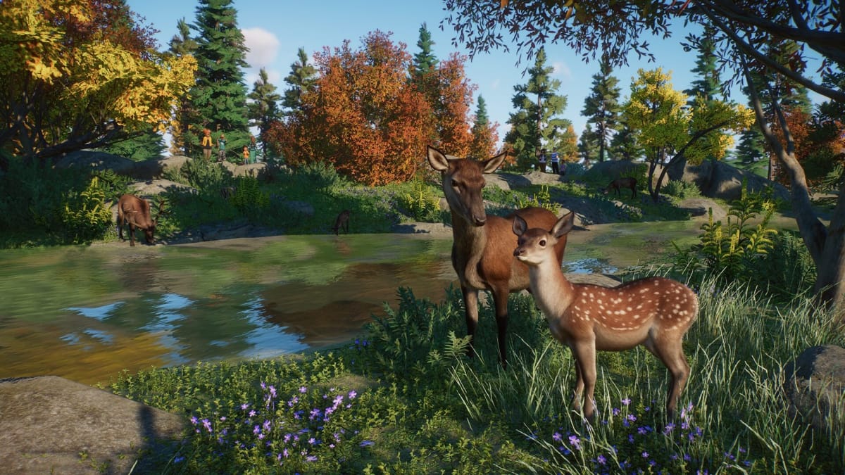 Planet Zoo update screenshot shows the Red Deer you can add to your zoo.