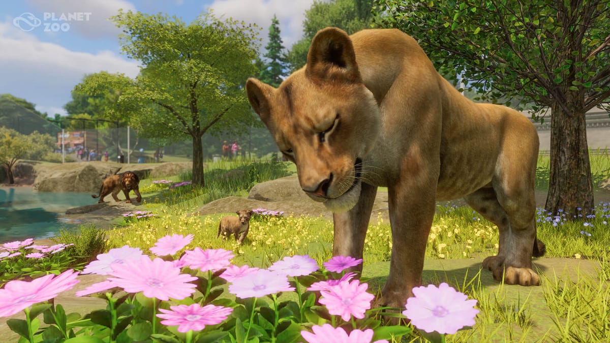 A lioness sniffing a flower in the Planet Zoo 1.10 update