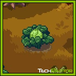Roots of Pacha Farming Guide - Cabbage Seed