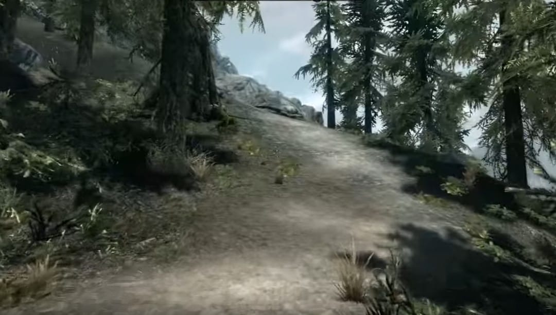 A forested landscape from Skyrim on Xbox 360
