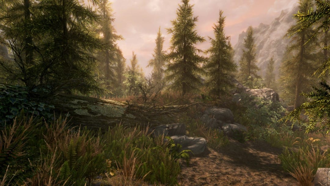A forested landscape at sunset in Skyrim