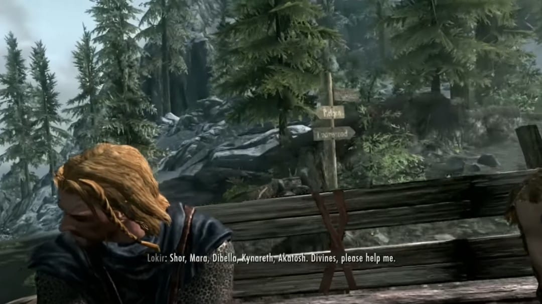 The player on the starting kart of Skyrim, taken from the PlayStation3 version