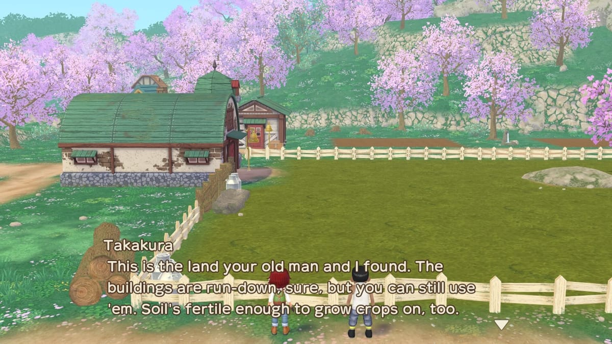 Takakura showing you your farm in Story of Seasons A Wonderful Life.