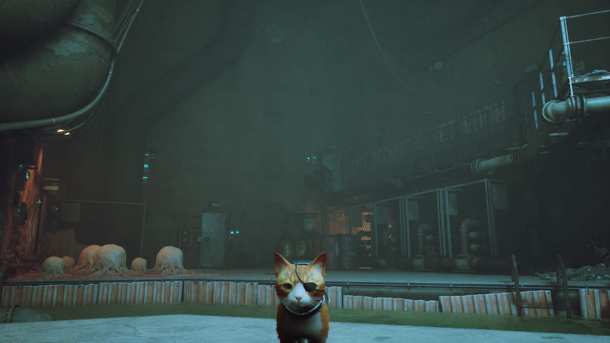 A cute cat with a little eyepatch standing in a cyberpunk city in Stray