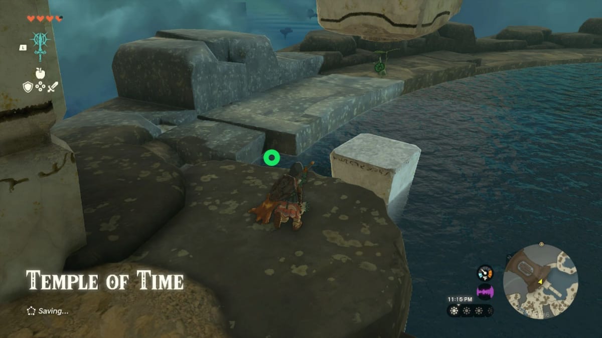 An example of a new hidden way to obtain Tears of the Kingdom Korok Seeds