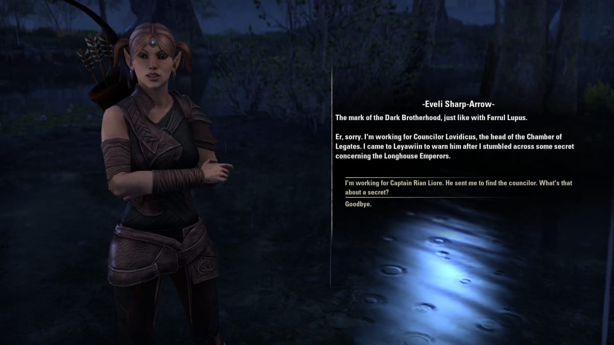 A screenshot from The Elder Scrolls Online showing a night-time scene