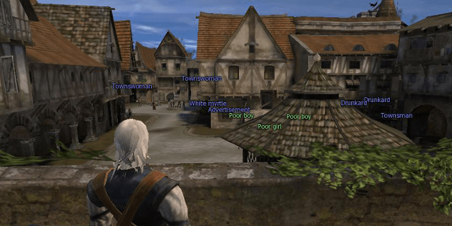 Witcher Town Labels