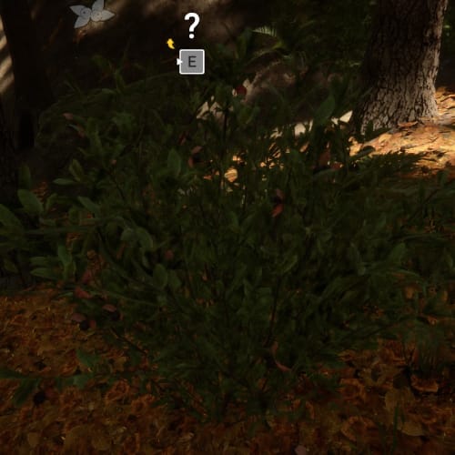 Where to Find Fireweed in Sons of the Forest