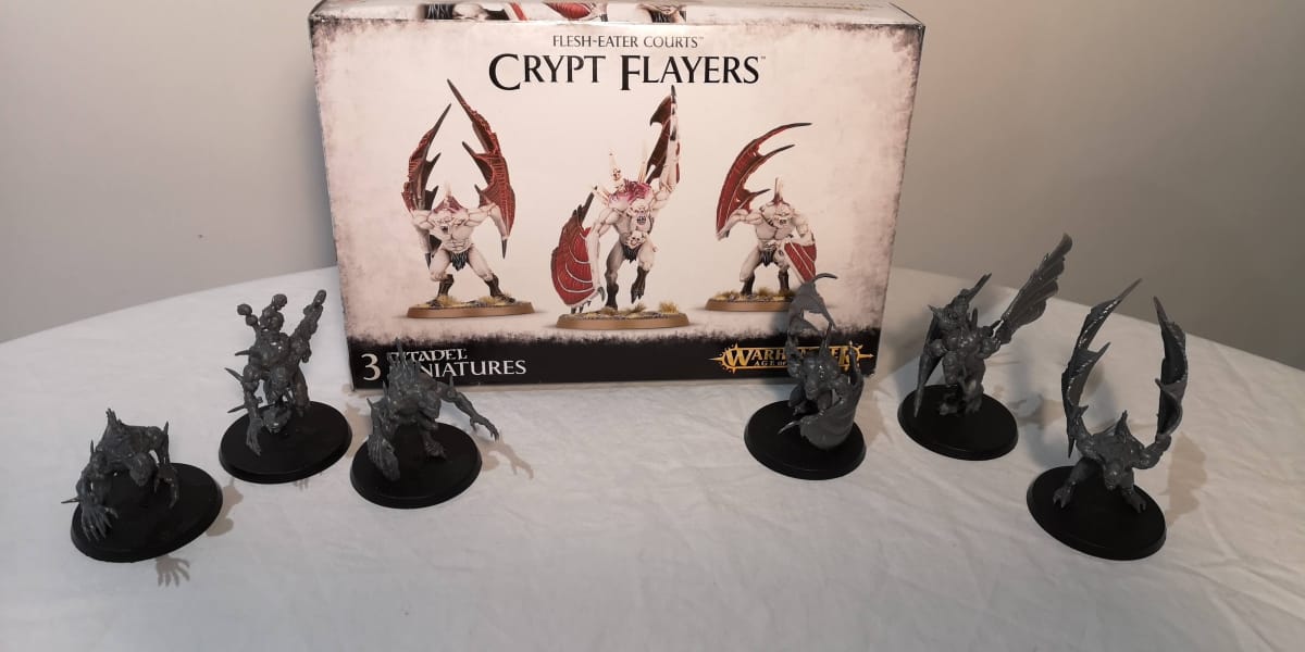Crypt Flayers box.