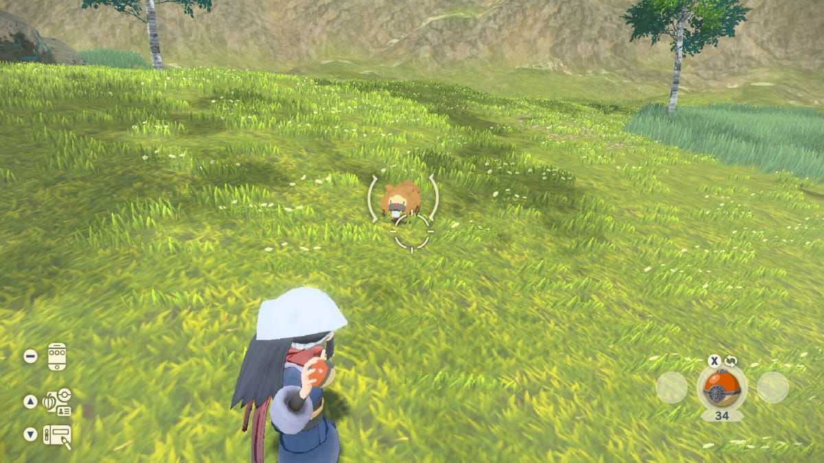 The player character readying a Pokeball to throw at a Bidoof