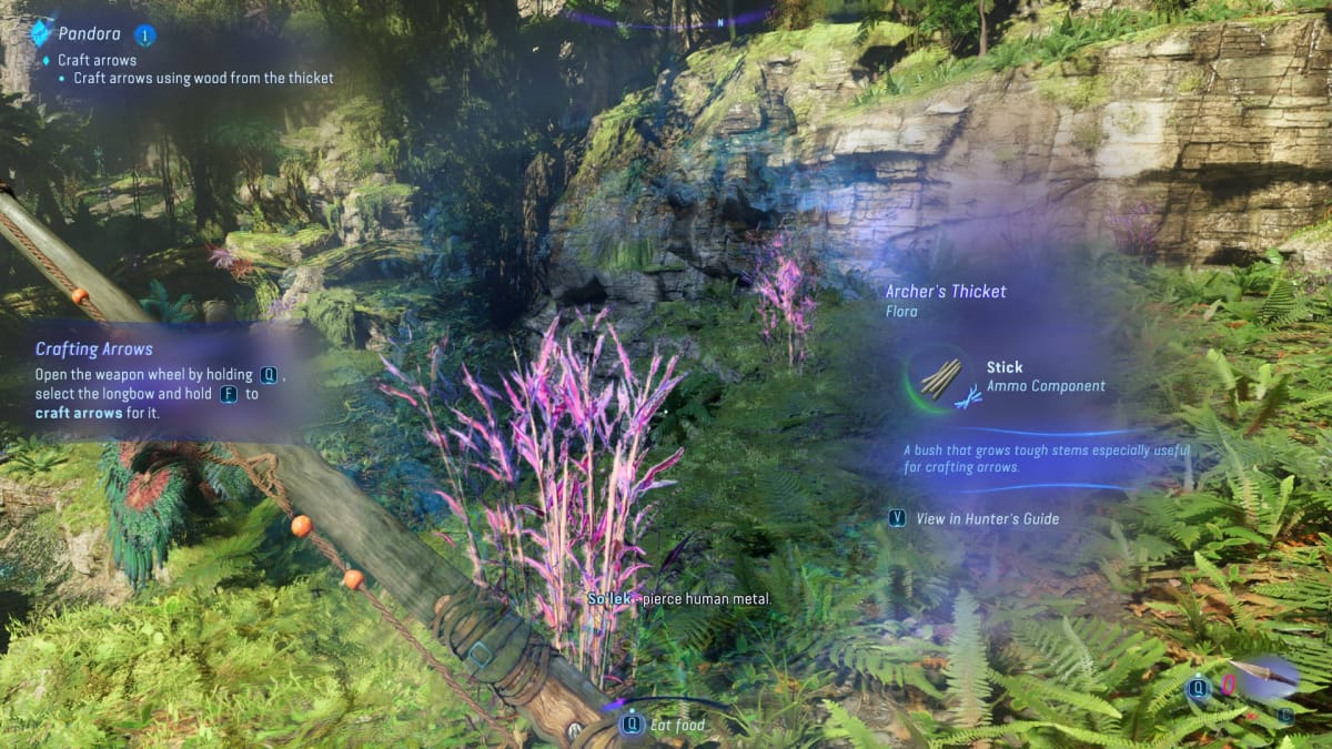 Avatar: Frontiers of Pandora Guide - Using Na'vi Senses on an Archer's Thicket