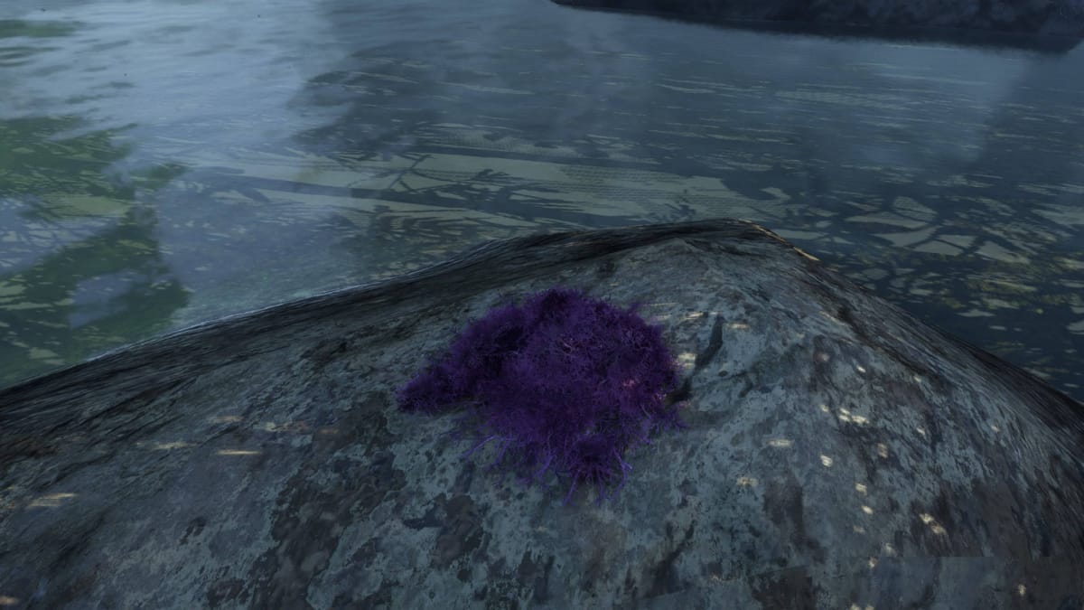 Avatar: Frontiers of Pandora Resources Guide - Bruise Moss on a Rock by a River