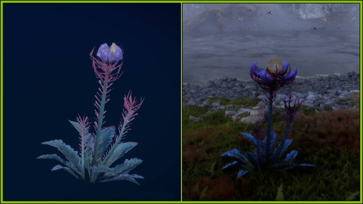 Avatar: Frontiers of Pandora Resources Guide - Closed Fog Bloom and Fog Bloom Fiber in a Fog Bloom Near a River