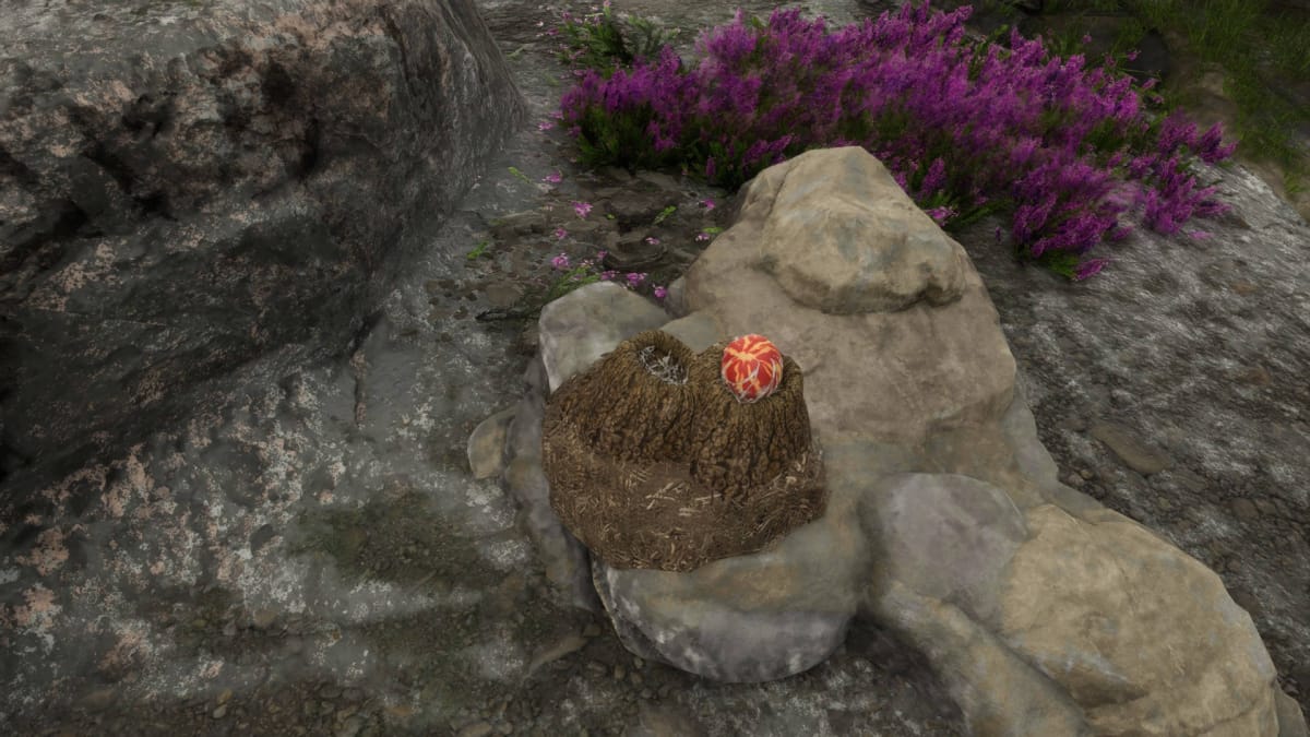 Avatar: Frontiers of Pandora Resources Guide - Coronis Egg on a Rock