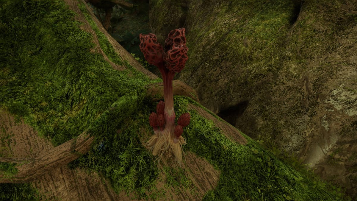 Avatar: Frontiers of Pandora Resources Guide - Crimson Mushroom on a Root