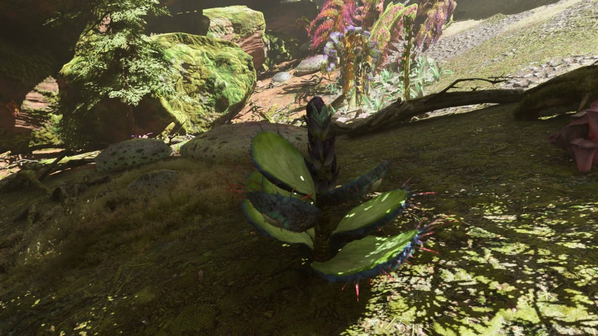 Avatar: Frontiers of Pandora Resources Guide - Exposed Eyethorn Seed in an Eyethorn Plant