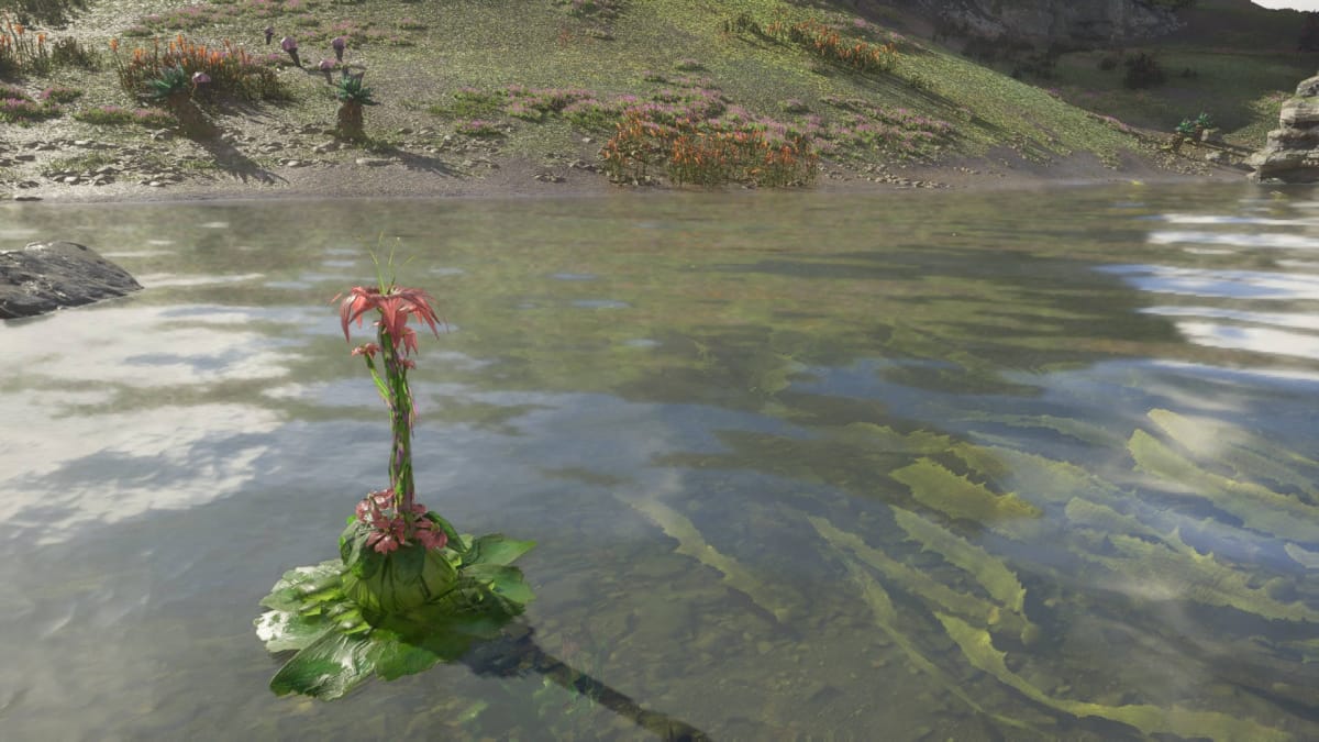 Avatar: Frontiers of Pandora Resources Guide - Shaded Waterweed Bast Near The Circle Camp