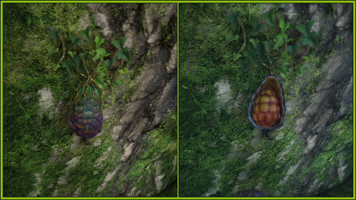 Avatar: Frontiers of Pandora Resources Guide - Shell Fruit on a Tree Closed and Open