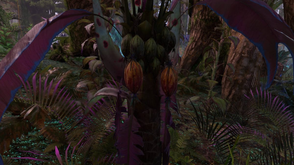 Avatar: Frontiers of Pandora Resources Guide - Shelter Fruit in the MIddle of the Jungle