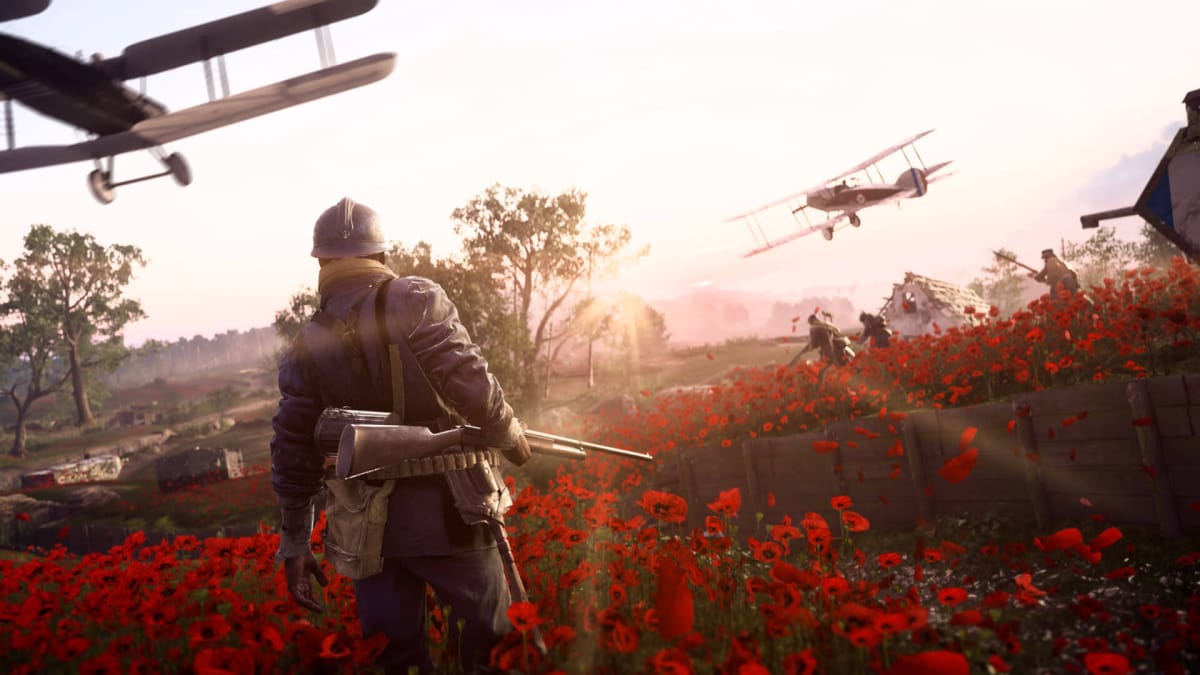 A soldier looking out over a field of poppies with planes flying overhead in Battlefield 1