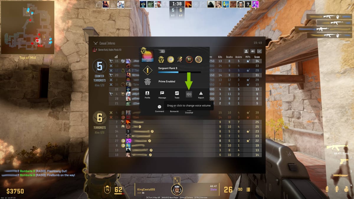 Mute Player in CS2 Arrow Pointing At Button