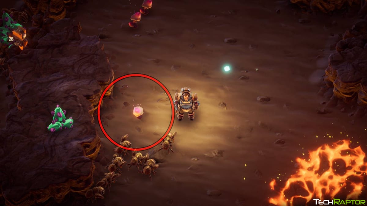 Deep Rock Galactic: Survivor Resources Guide - Circled Boolo Cap with a Gunner Standing Next to it