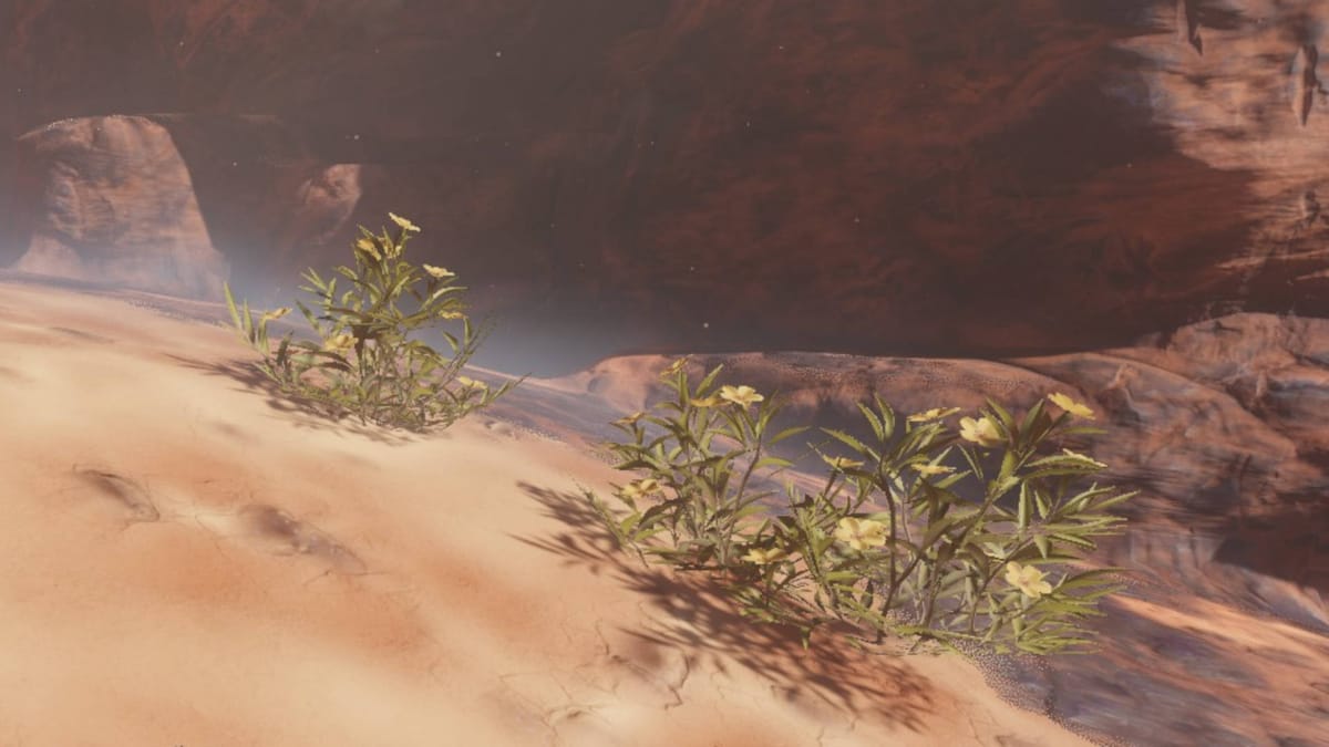 A group of Desert Flowers in the Nomad Highlands in Enshrouded