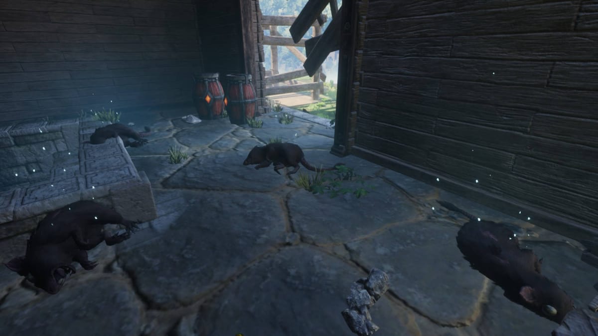 A group of dead rats in a building with explosive barrels in the corner in Enshrouded