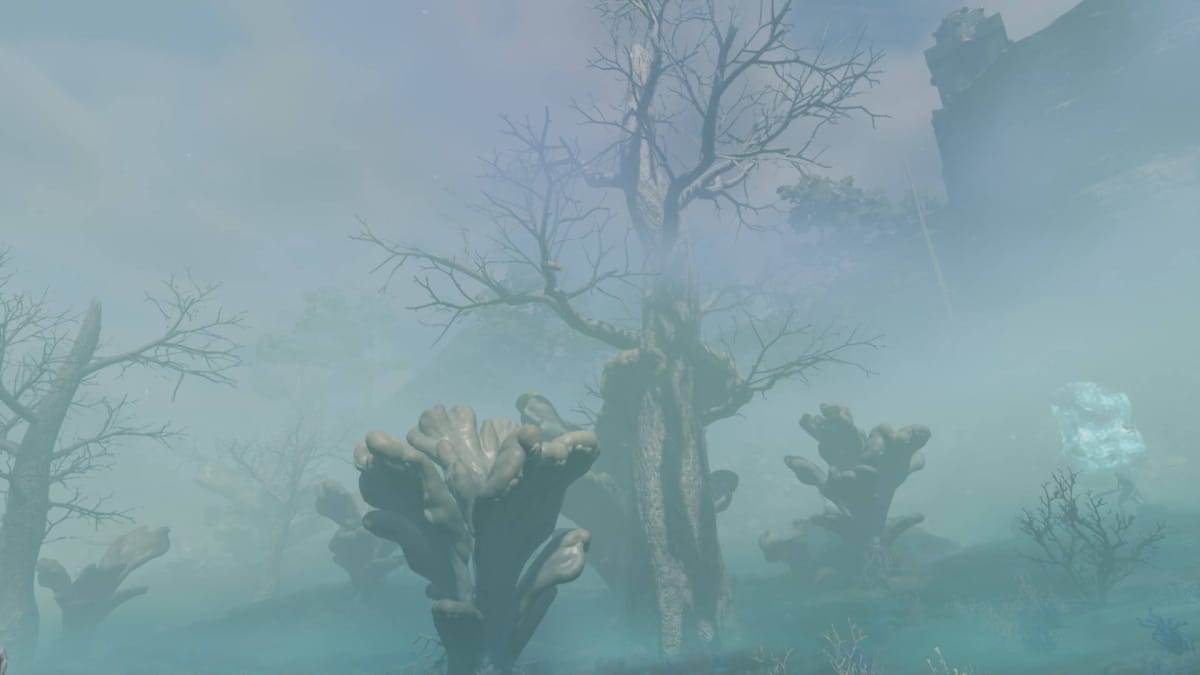 A group of Shroud Wood trees and other plants in the Shroud in Enshrouded